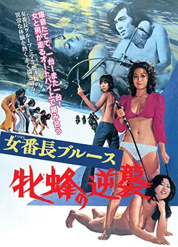 《女番长布鲁斯：雌蜂的逆袭》：70年代爆裂青春！女番长的怒火与姐妹情深，硬核回归！