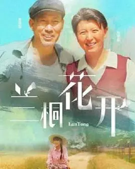 《兰桐花开》：乡村振兴的赞歌，时代女性的奋斗诗篇，谱写新农村的希望与梦想！