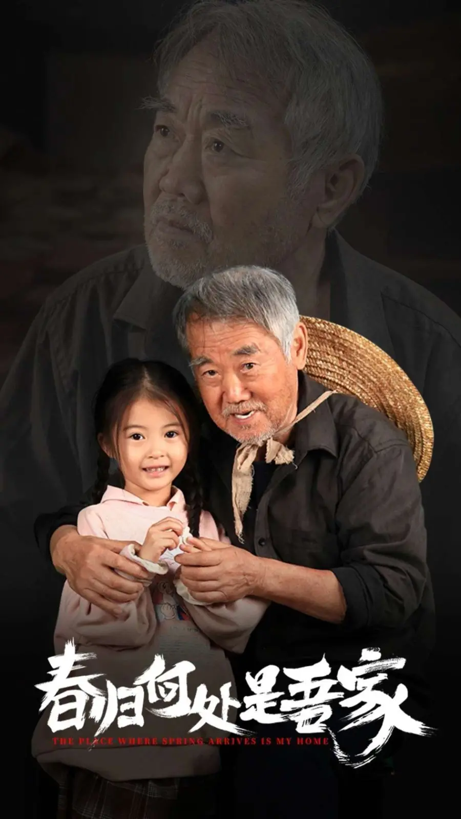 《春归何处是吾家》：迷失与追寻，一部触及灵魂深处的动人史诗